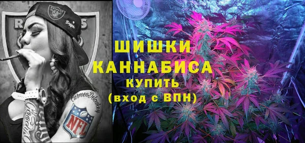 мдпв Костерёво